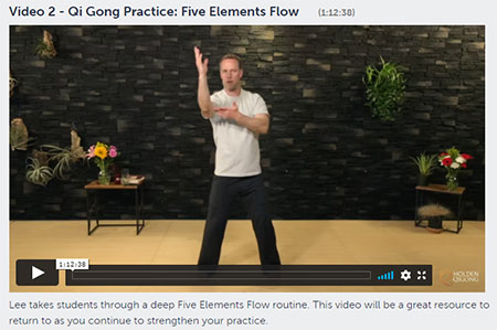 A screenshot of one of the videos in the Holden QiGong Online Teacher Training Program